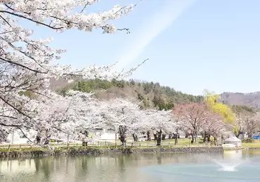 横手市で、あいましょう。～展