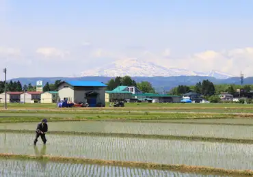 横手市で、あいましょう。～展